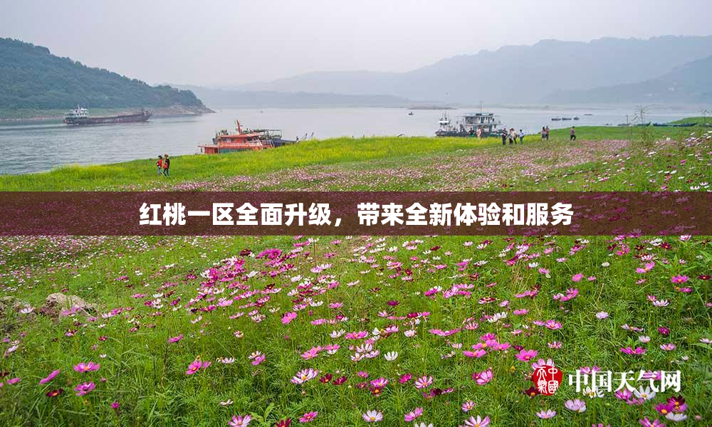 红桃一区全面升级，带来全新体验和服务