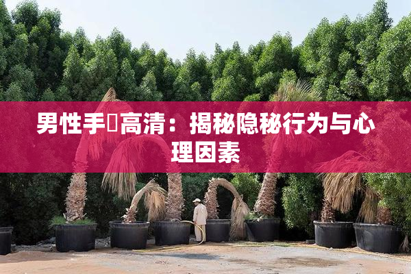 男性手婬高清：揭秘隐秘行为与心理因素