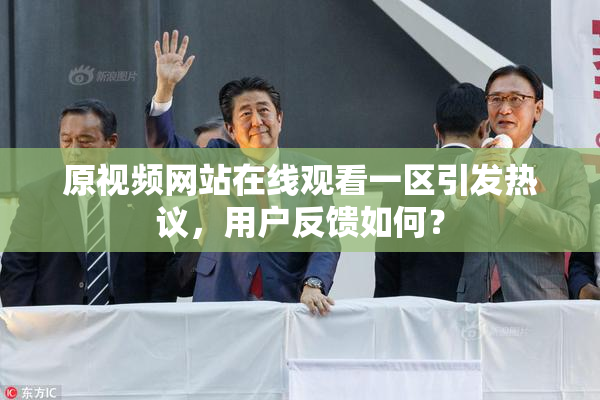 原视频网站在线观看一区引发热议，用户反馈如何？
