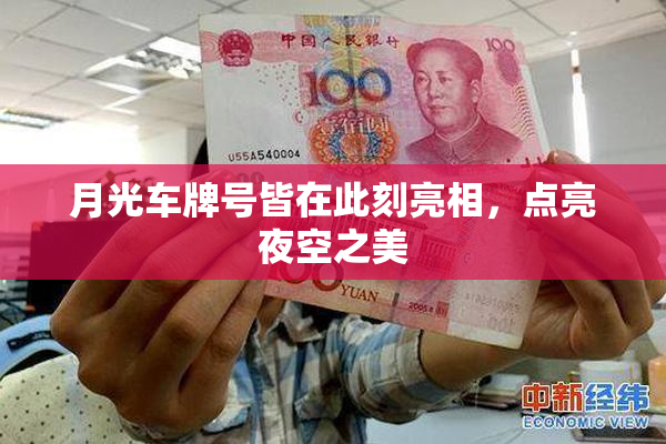 月光车牌号皆在此刻亮相，点亮夜空之美