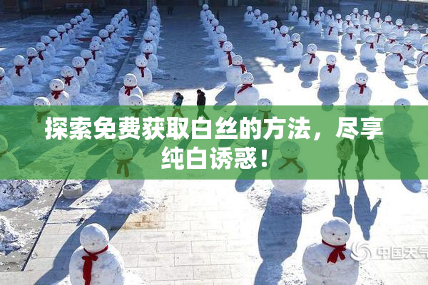 探索免费获取白丝的方法，尽享纯白诱惑！