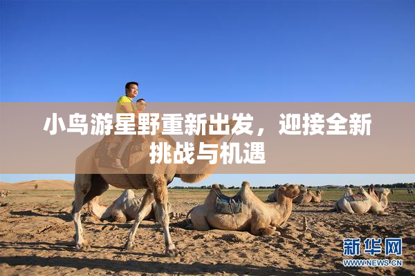 小鸟游星野重新出发，迎接全新挑战与机遇