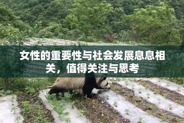 女性的重要性与社会发展息息相关，值得关注与思考