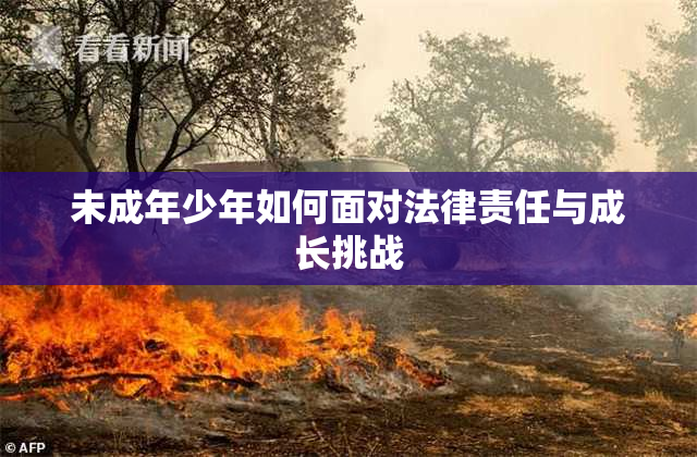 未成年少年如何面对法律责任与成长挑战