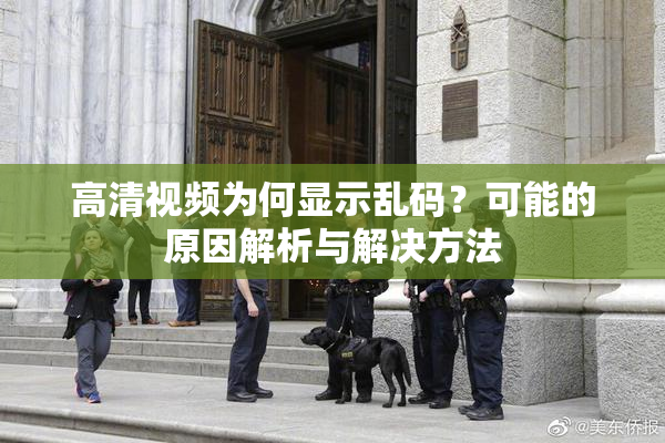 高清视频为何显示乱码？可能的原因解析与解决方法