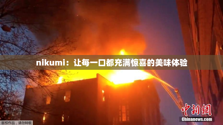 nikumi：让每一口都充满惊喜的美味体验