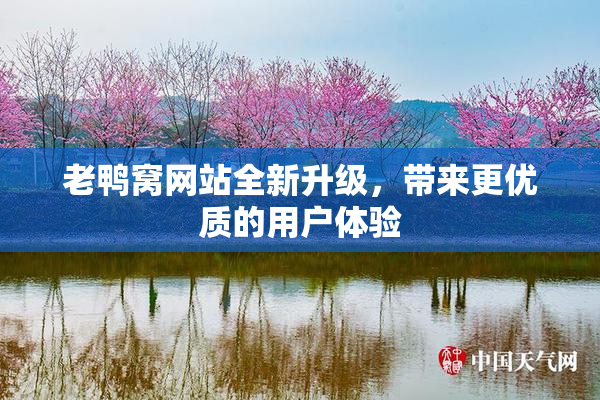 老鸭窝网站全新升级，带来更优质的用户体验
