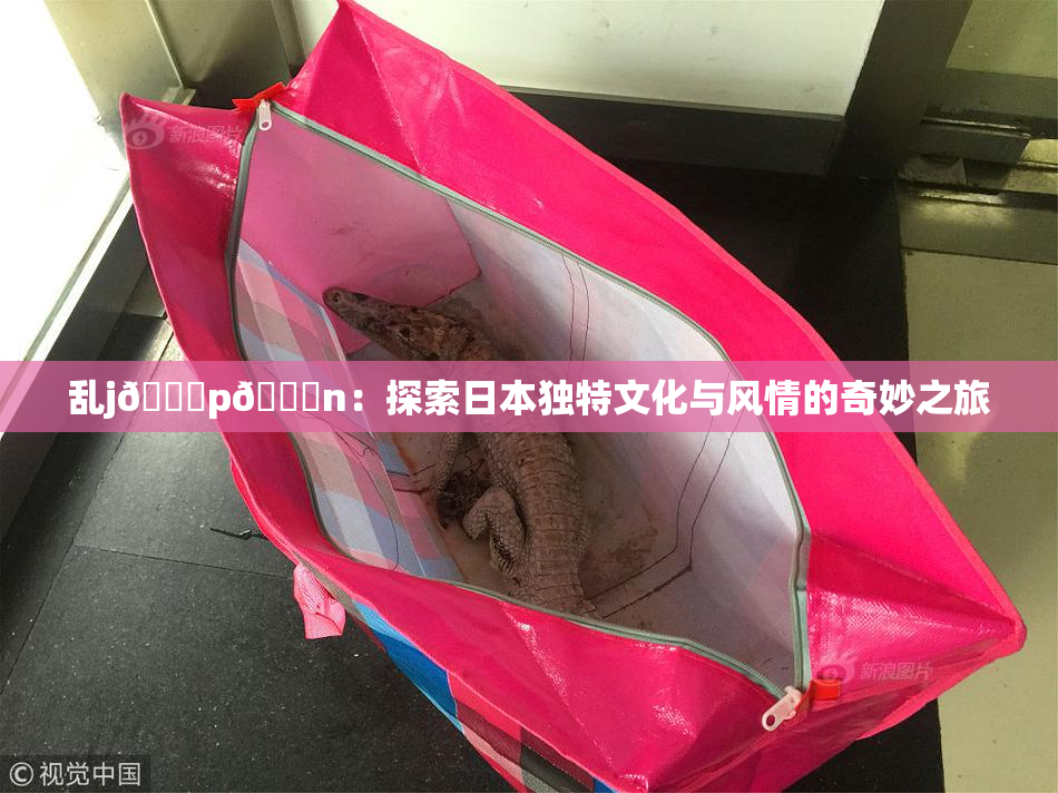 乱j🈚p🈚n：探索日本独特文化与风情的奇妙之旅