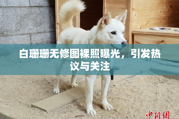 白珊珊无修图裸照曝光，引发热议与关注