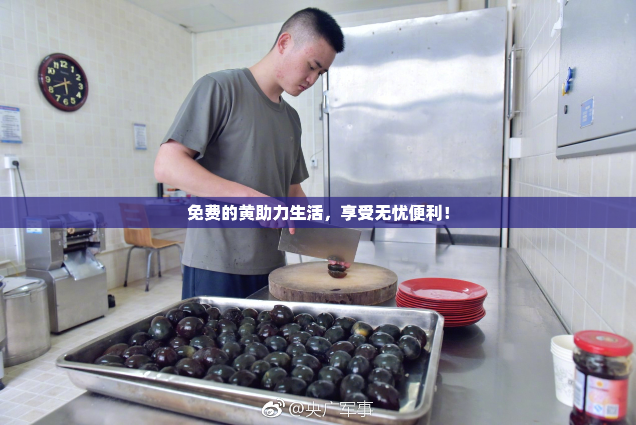 免费的黄助力生活，享受无忧便利！