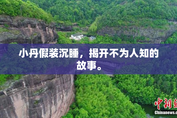 小丹假装沉睡，揭开不为人知的故事。