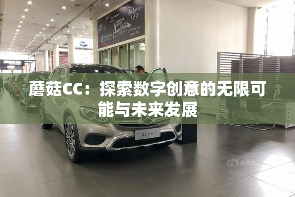 蘑菇CC：探索数字创意的无限可能与未来发展