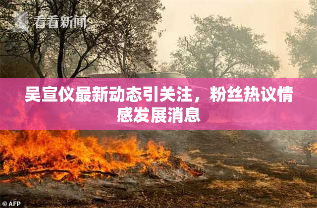吴宣仪最新动态引关注，粉丝热议情感发展消息