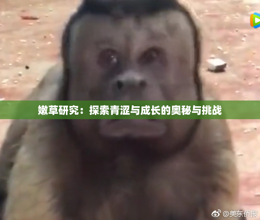 嫩草研究：探索青涩与成长的奥秘与挑战