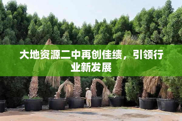大地资源二中再创佳绩，引领行业新发展