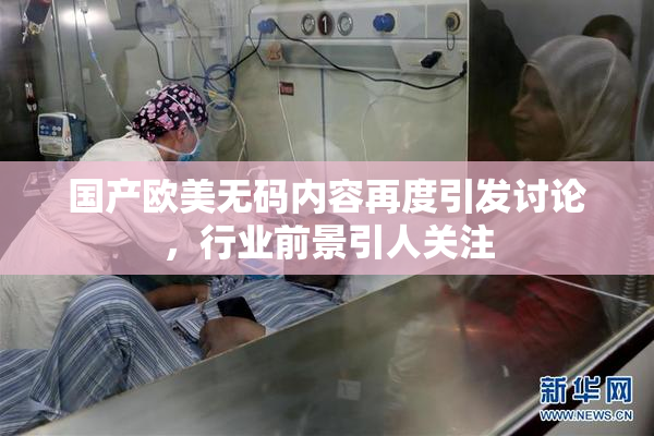 国产欧美无码内容再度引发讨论，行业前景引人关注