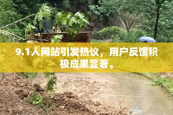 9.1人网站引发热议，用户反馈积极成果显著。