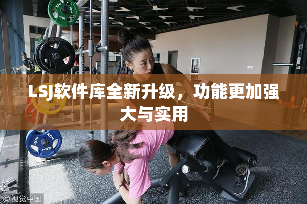 LSJ软件库全新升级，功能更加强大与实用