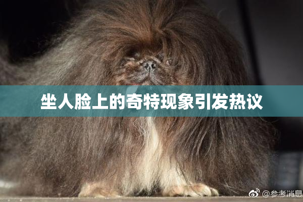 坐人脸上的奇特现象引发热议