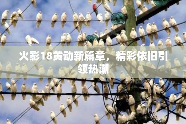 火影18黄动新篇章，精彩依旧引领热潮
