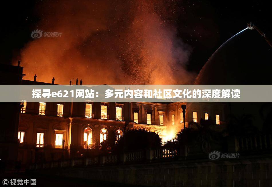 探寻e621网站：多元内容和社区文化的深度解读