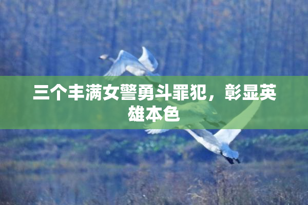 三个丰满女警勇斗罪犯，彰显英雄本色