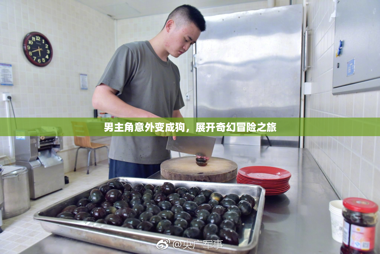 男主角意外变成狗，展开奇幻冒险之旅