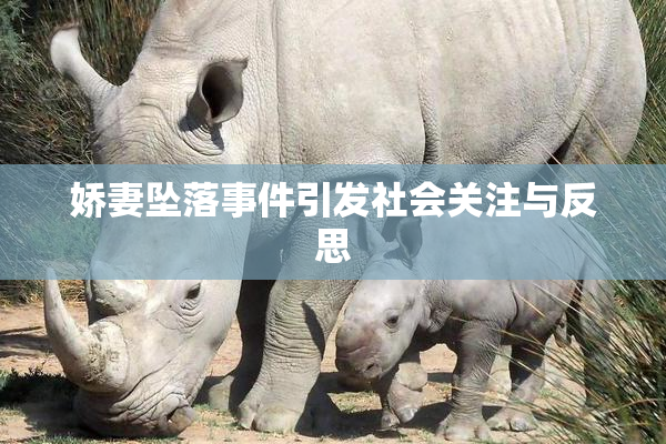 娇妻坠落事件引发社会关注与反思