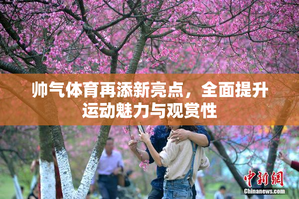 帅气体育再添新亮点，全面提升运动魅力与观赏性