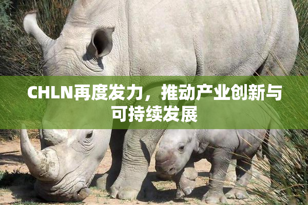 CHLN再度发力，推动产业创新与可持续发展