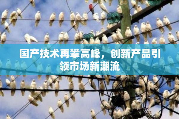 国产技术再攀高峰，创新产品引领市场新潮流
