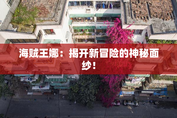 海贼王娜：揭开新冒险的神秘面纱！