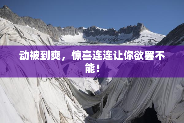 动被到爽，惊喜连连让你欲罢不能！