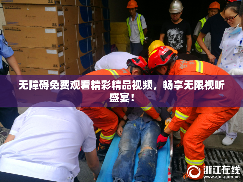 无障碍免费观看精彩精品视频，畅享无限视听盛宴！