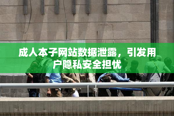 成人本子网站数据泄露，引发用户隐私安全担忧