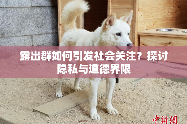 露出群如何引发社会关注？探讨隐私与道德界限
