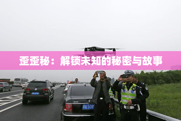 歪歪秘：解锁未知的秘密与故事