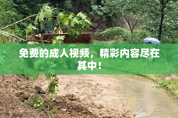免费的成人视频，精彩内容尽在其中！