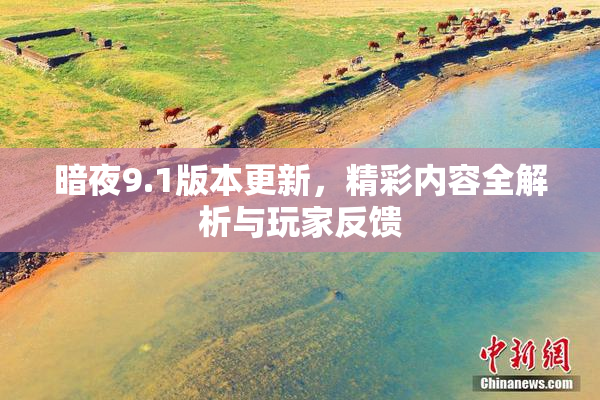 暗夜9.1版本更新，精彩内容全解析与玩家反馈