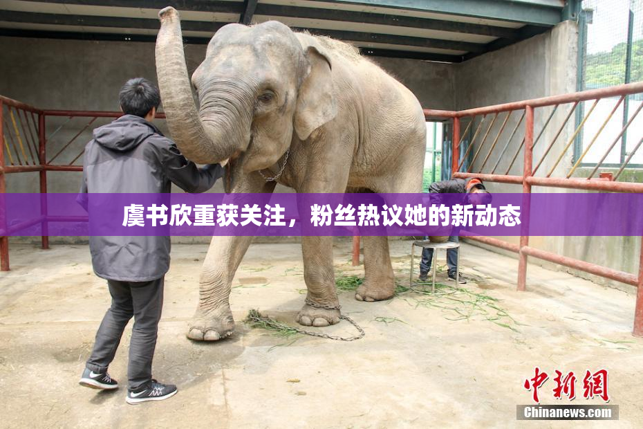 虞书欣重获关注，粉丝热议她的新动态