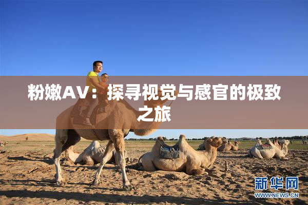 粉嫩AV：探寻视觉与感官的极致之旅