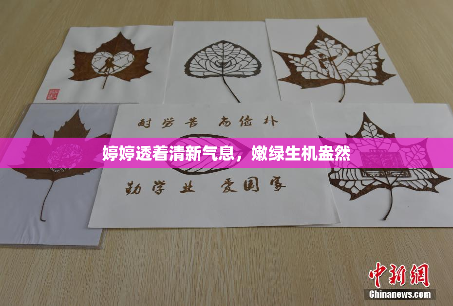 婷婷透着清新气息，嫩绿生机盎然
