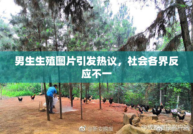 男生生殖图片引发热议，社会各界反应不一