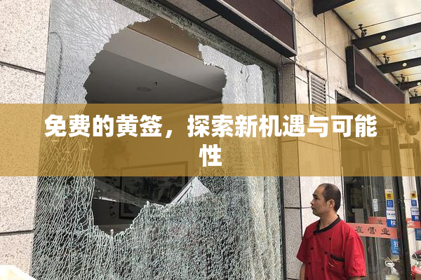 免费的黄签，探索新机遇与可能性
