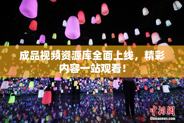 成品视频资源库全面上线，精彩内容一站观看！
