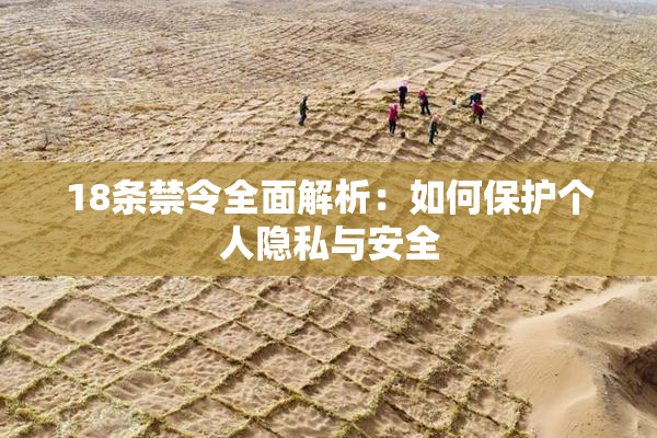 18条禁令全面解析：如何保护个人隐私与安全