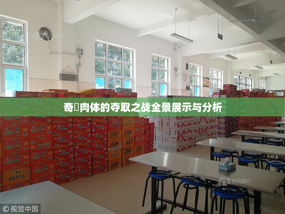 奇犽肉体的夺取之战全景展示与分析