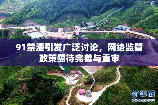 91禁漫引发广泛讨论，网络监管政策亟待完善与重审
