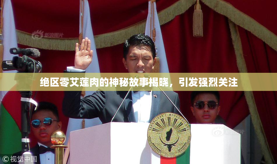 绝区零艾莲肉的神秘故事揭晓，引发强烈关注