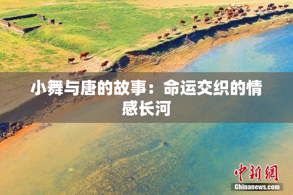 小舞与唐的故事：命运交织的情感长河